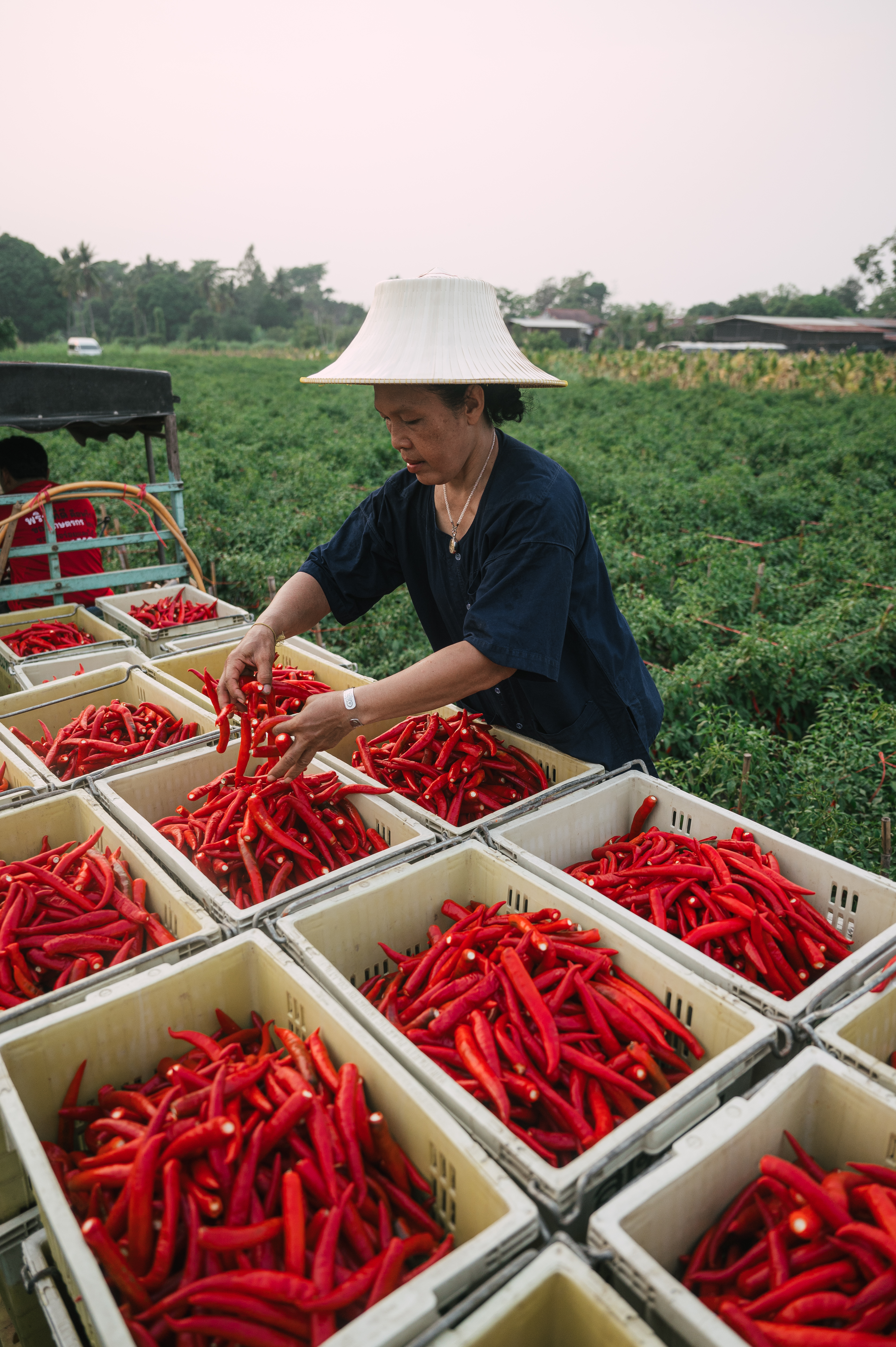 Capacity Building : XO Meets Farmers